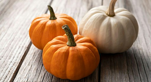 Autumn Pumpkin Craft Club