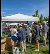 The Open-Air Artisan Showcase