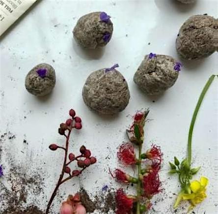 Atelier bombes à graines / Workshop zaadbommetjes