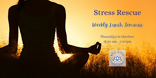 Stress Rescue Lunch Seminar