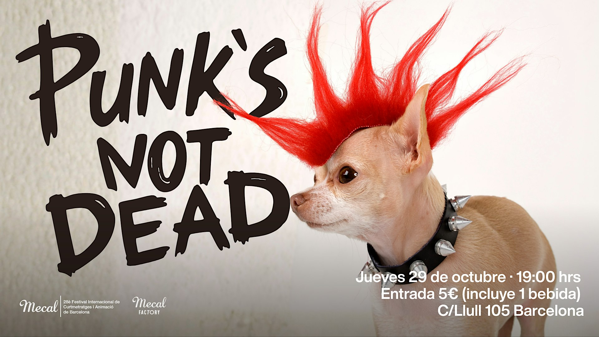 Punk is not dead  - sesión de cortometrajes