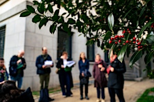 Les plantes sauvages de nos rues