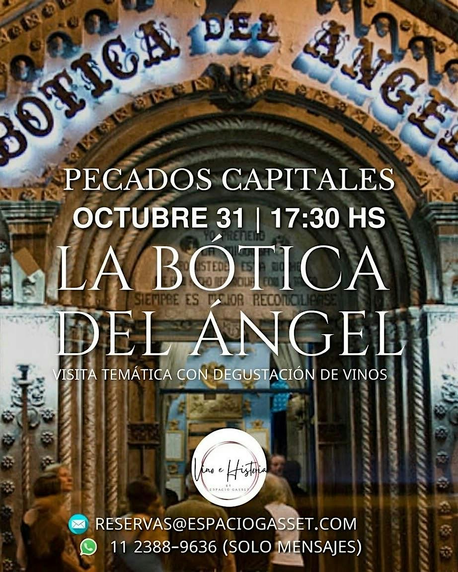 Botica del Ángel, especial 7 vinos . Visita guiada y degustación.