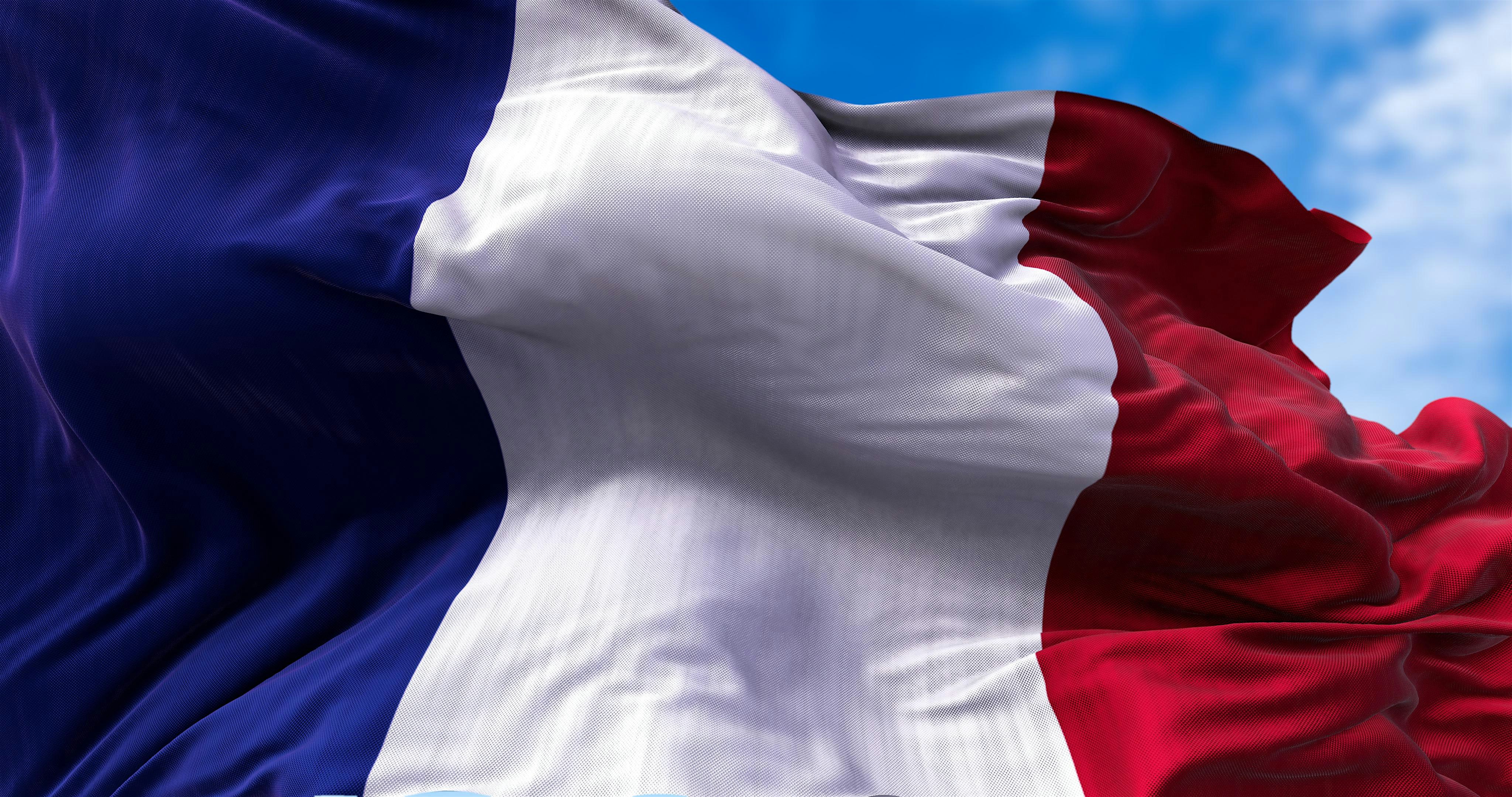 Garden Party at the Embassy of France