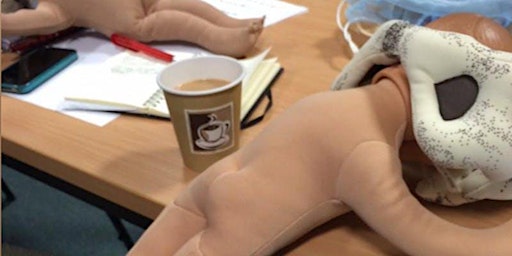 Physiological Breech Birth Study Day - RUH Bath