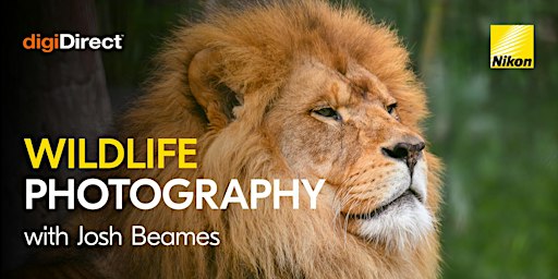 Wildlife Photography at Melbourne Zoo with Josh Beames