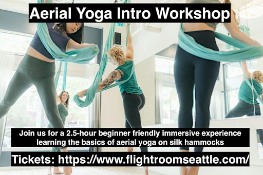 Aerial Yoga Intro Workshops (Multiple Dates and Locations)
