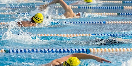 Yarra Roughies Squad Training