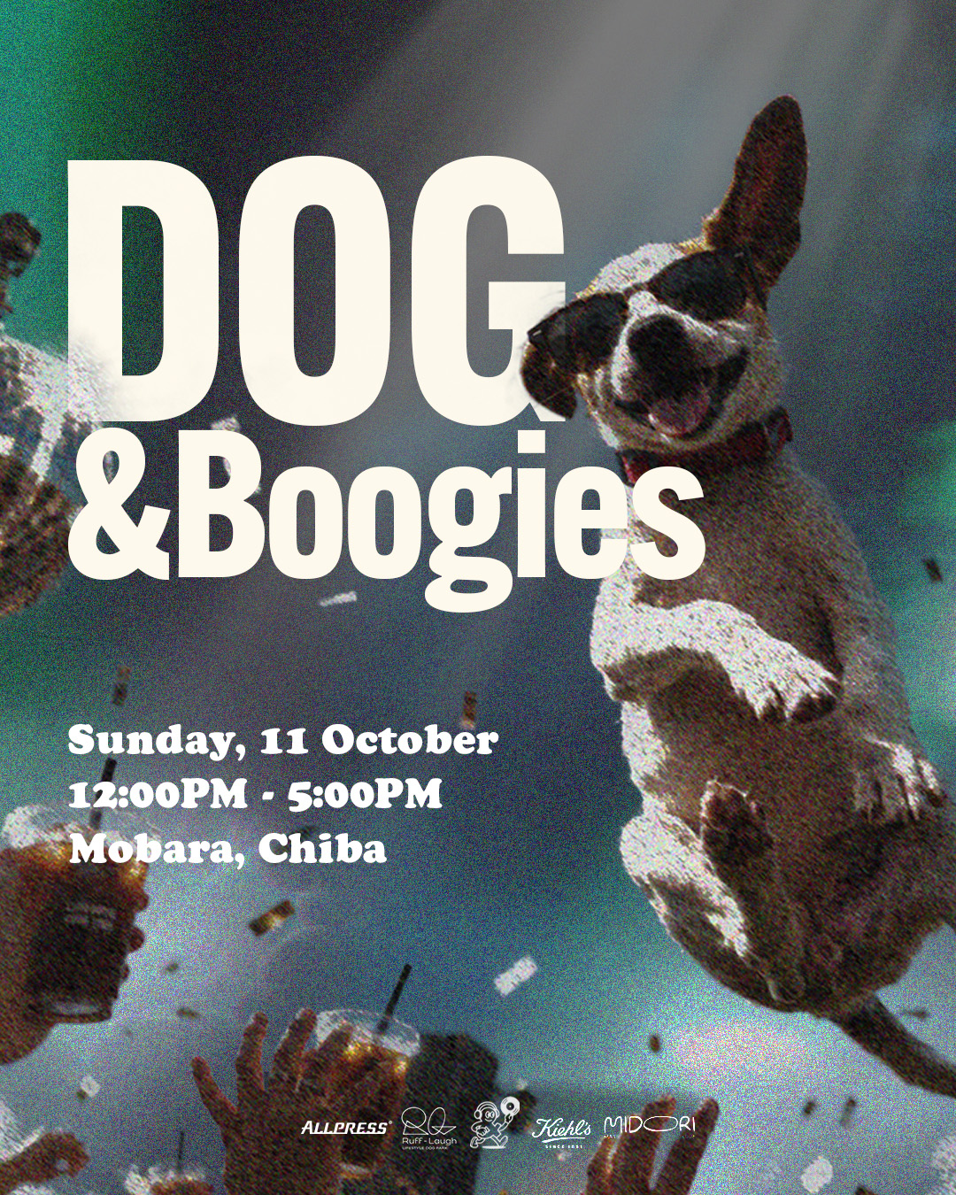 DOG & Boogies
