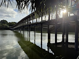 Leisure Walk: Mandai Broadwalk