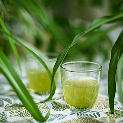 Workshop "de zes gezichten van thee". Thee proeven en beter zetten NAMIDDAG