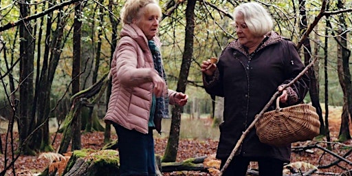 Quand Vient l’Automne: When Fall is Coming