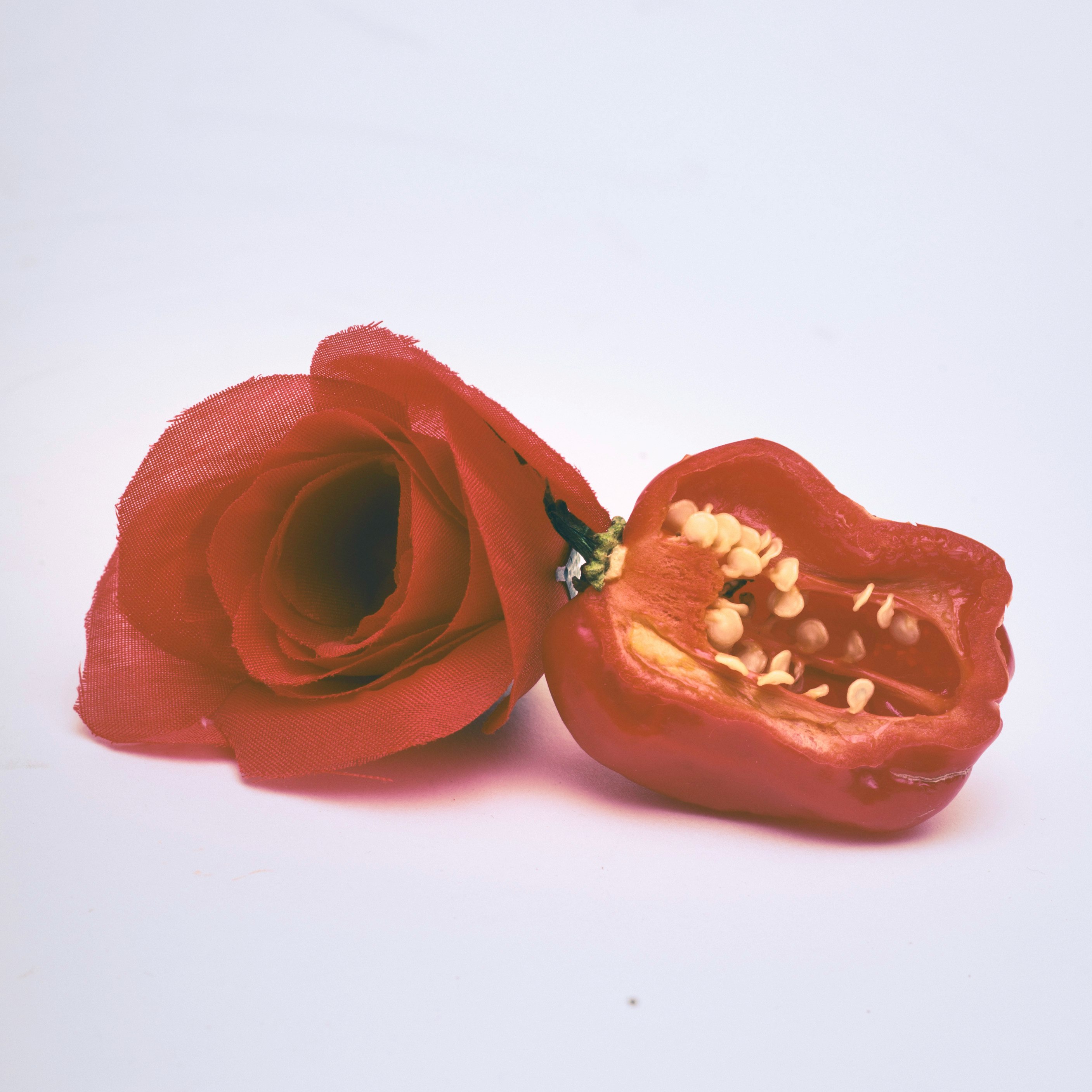 Sunday Tribute - Red Hot Chili Peppers