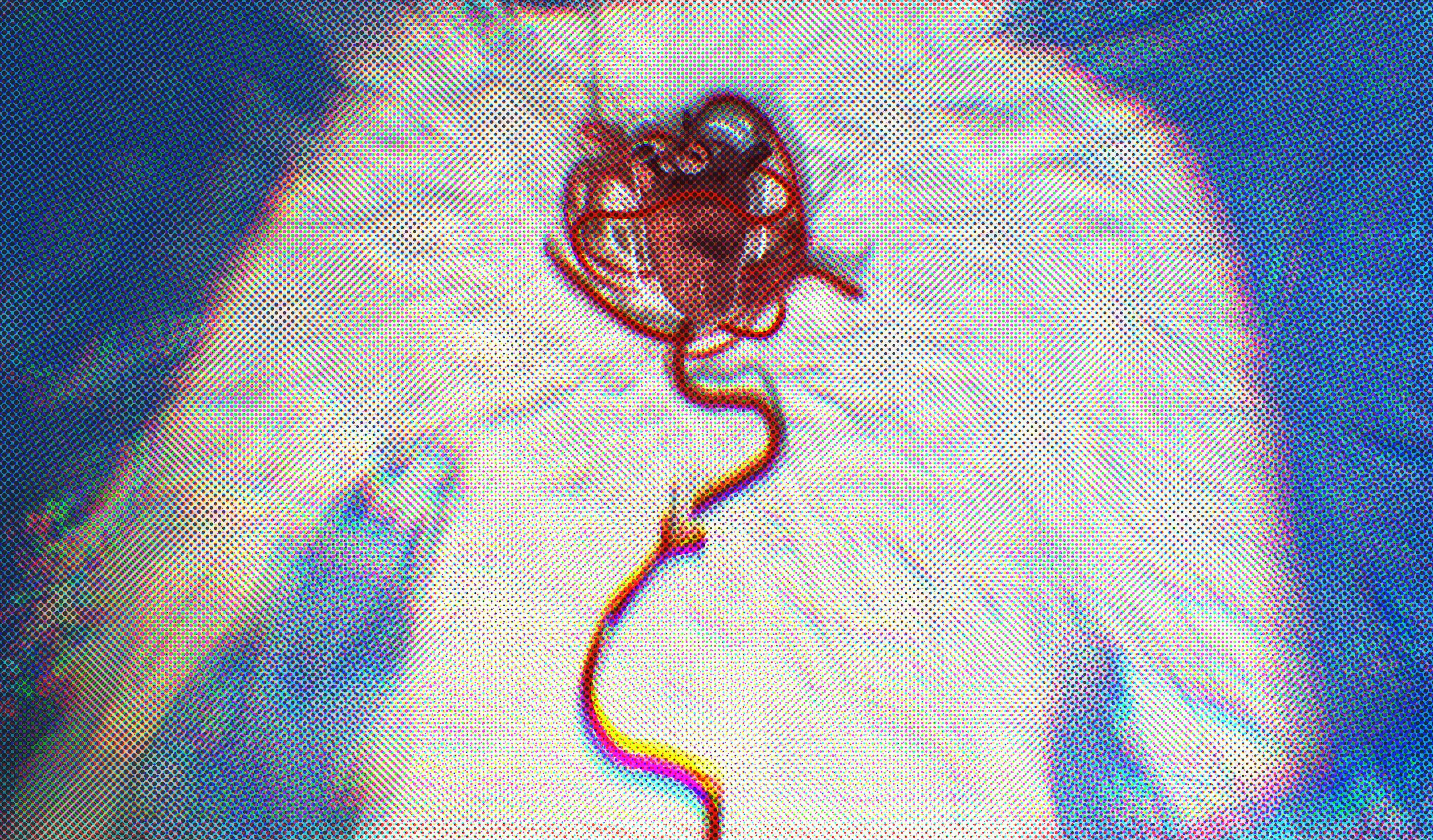 Breathe In / Breathe Out