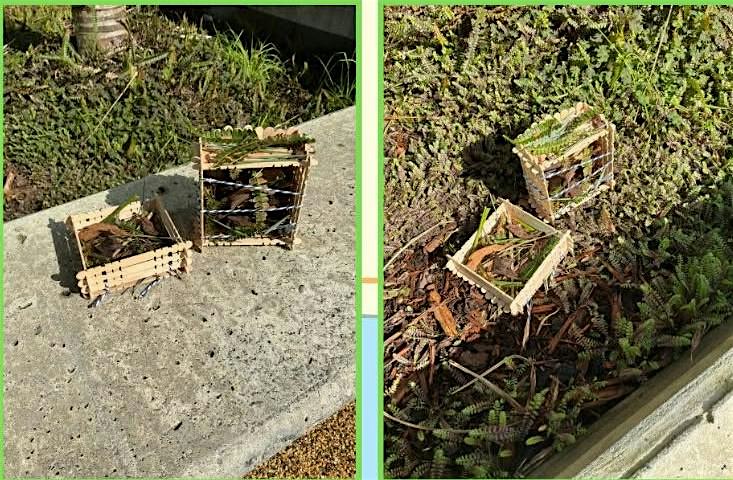 Build Your Own Bug Hotels