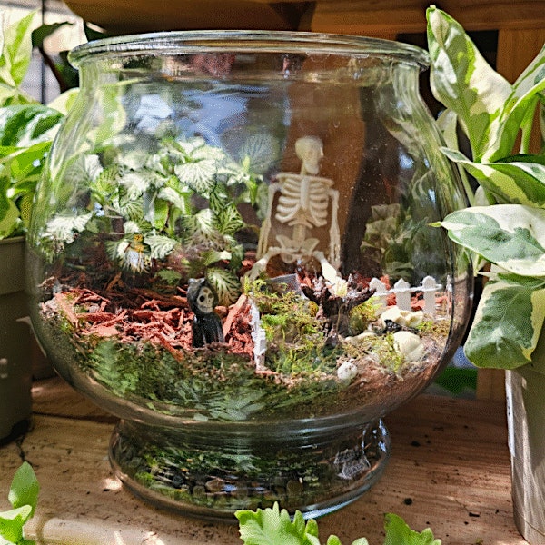 Spooky Terrarium Workshop