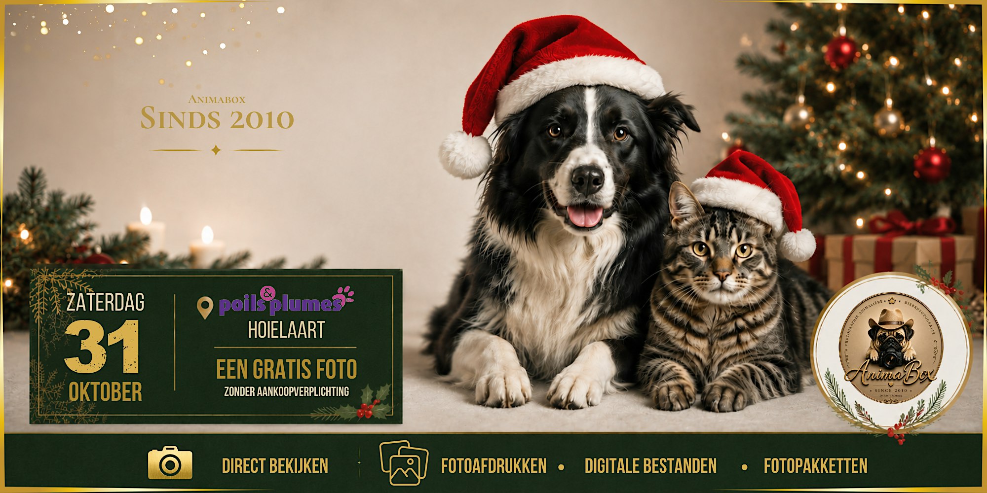 Poils&Plumes Hoeilaart - AnimaBox fotosessie