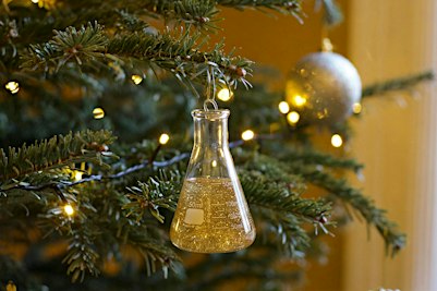O Chemis-tree, O Chemis-tree! (family)