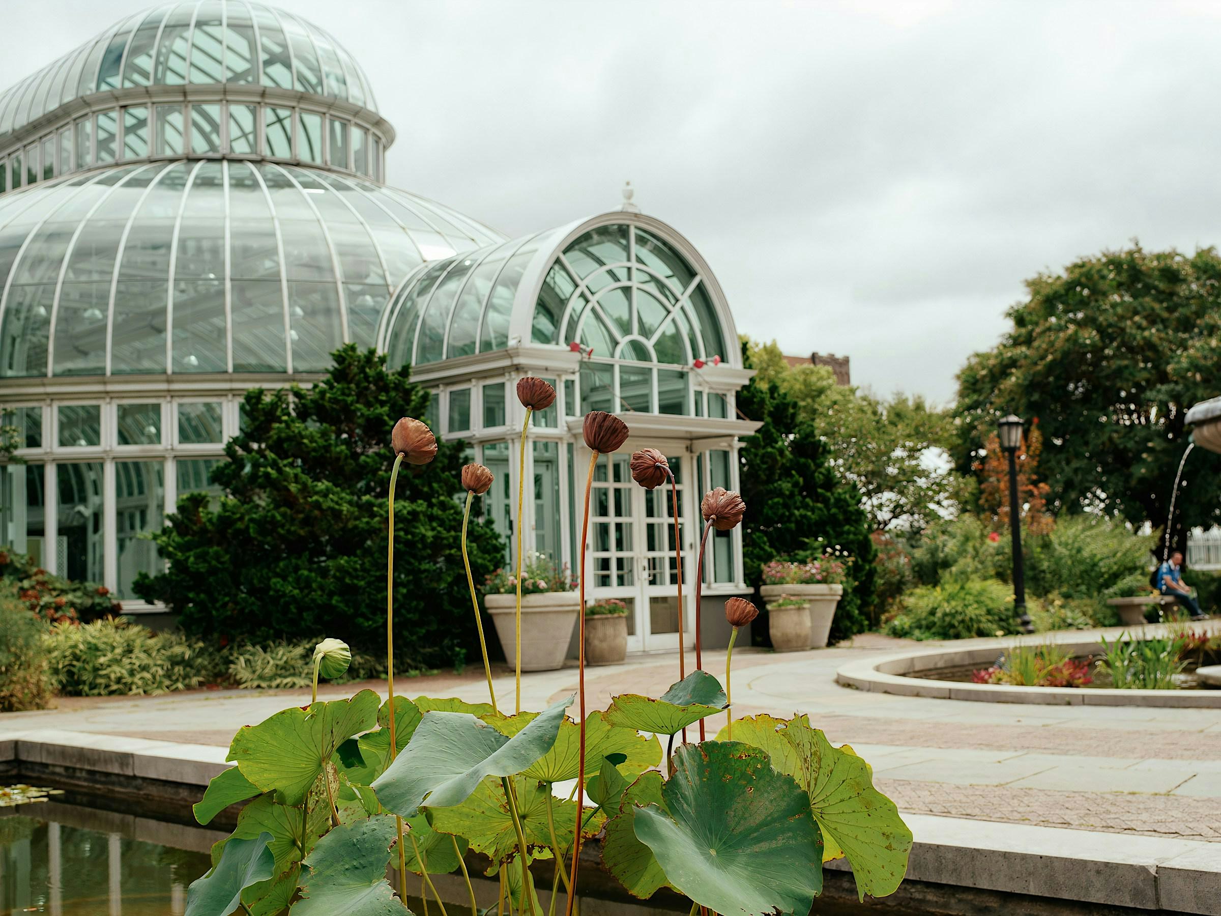 Botanical Gardens Free Visit