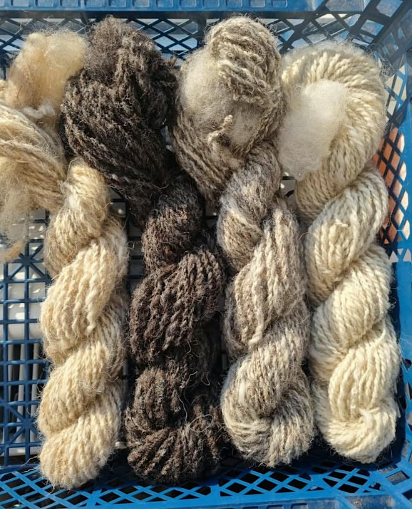 Wool Spinning Workshop with Heather