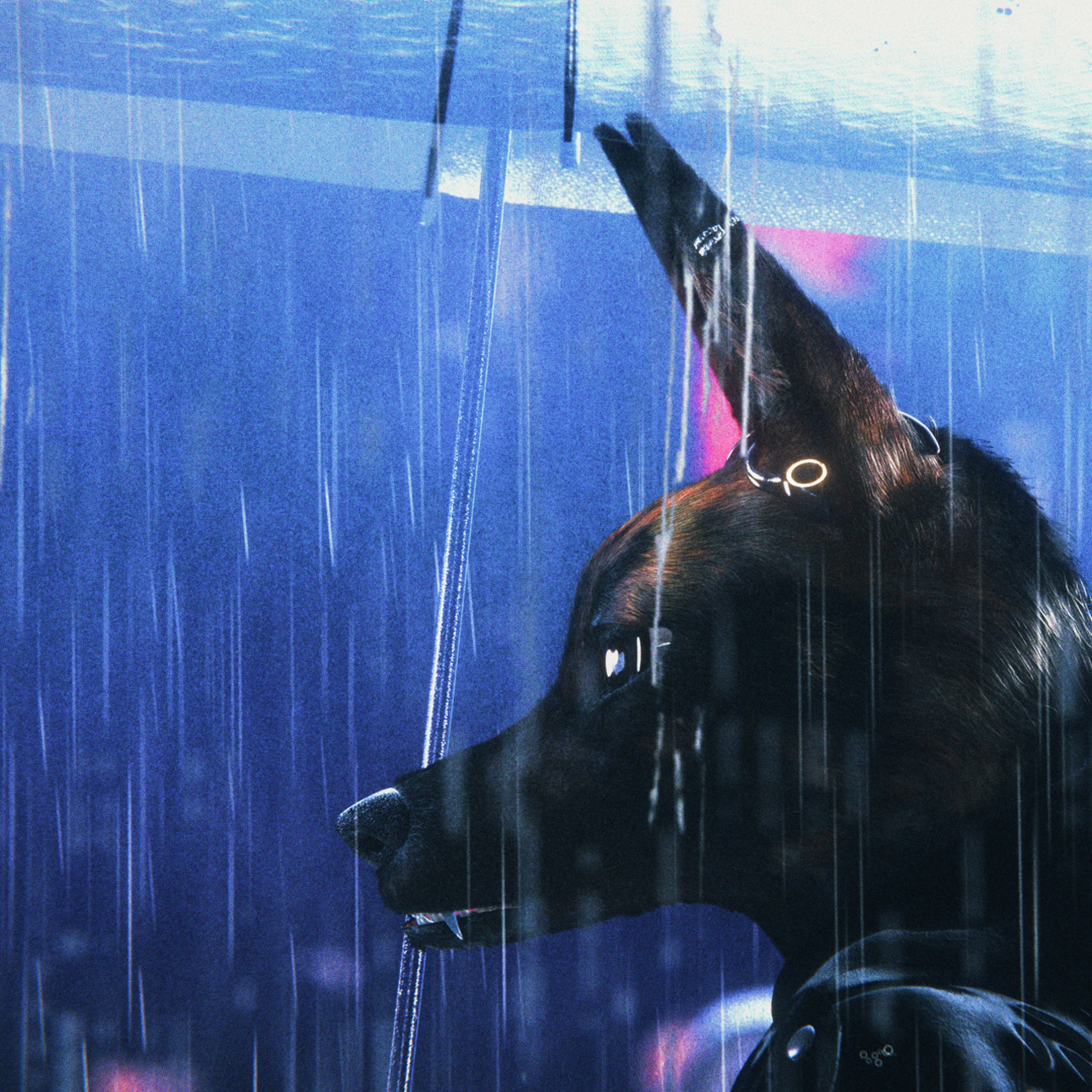 Bouchra | Exclusive Screening + Virtual Conversation