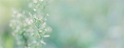 Reclaiming Your Strengths as a Highly Sensitive Person