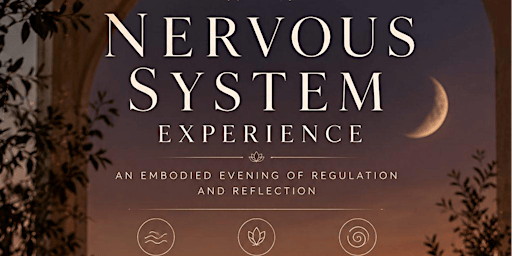 Nervous System Reset: Release and return