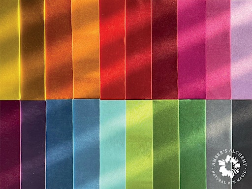 The Textile Society: Future Advocacy and Activism