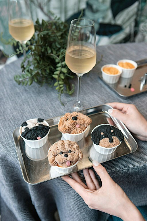 Pupcake & Sip Sydney | Social Event | Bottomless Aperol Spritz + Your Dog