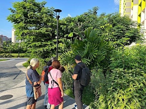 Tengah Town Tour Series - Biodiversity in Tengah Town