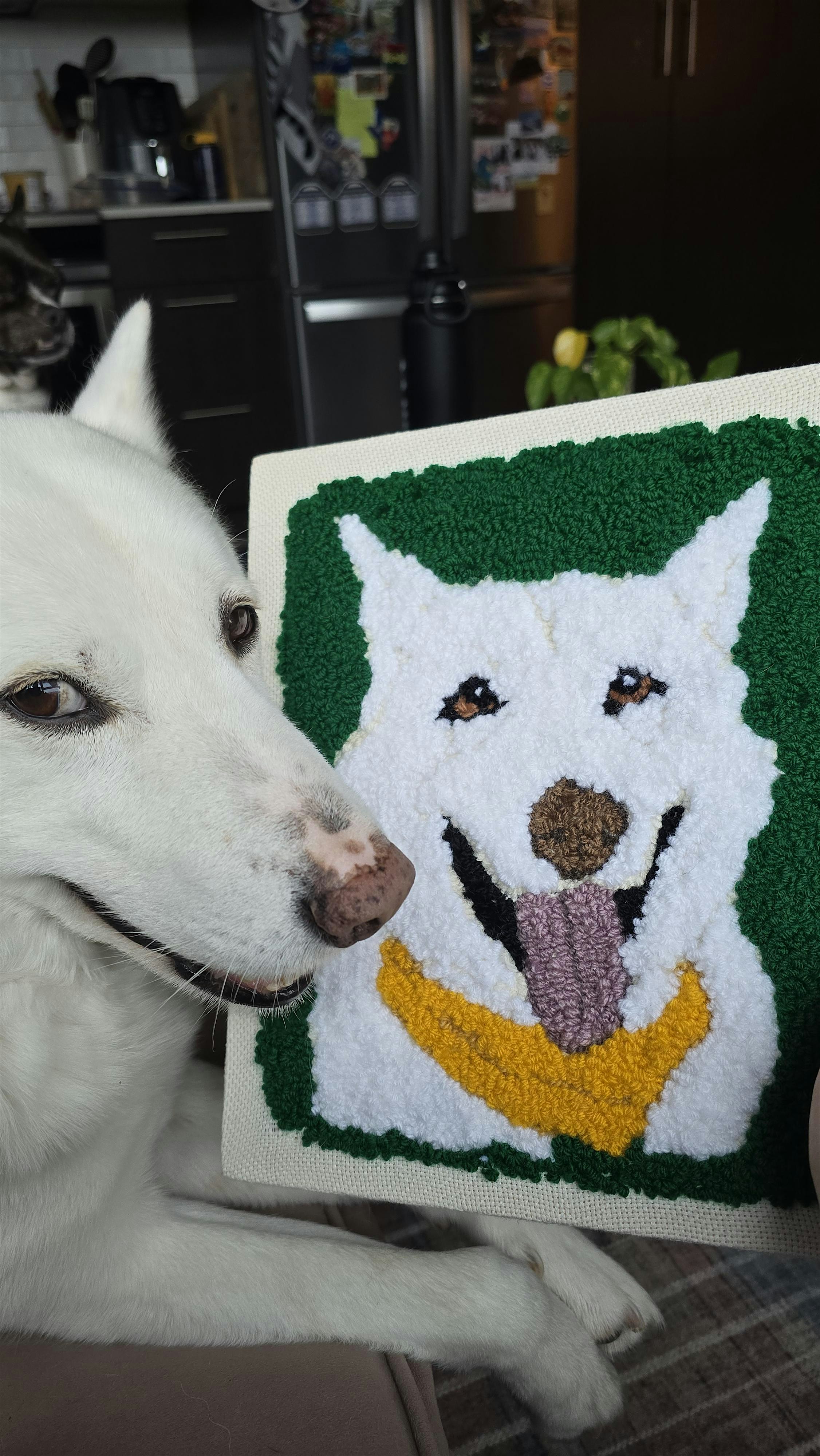 Punch Needle Pet Portraits