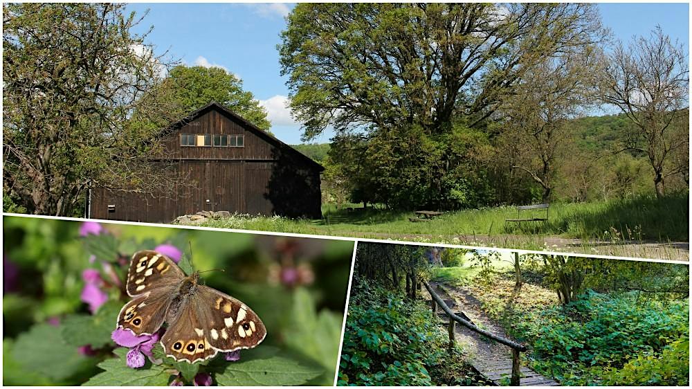Social Hike: Rosebud Valley