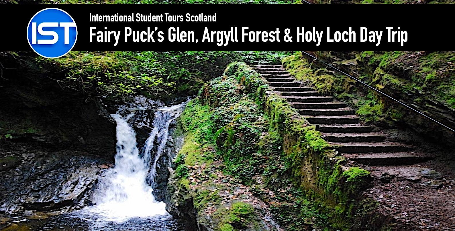 Argyll Forest, Glenbranter and Holy Loch Day Trip