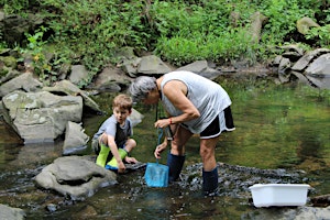 Creek Critters 2026- 10:30 Session