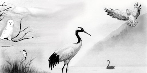 Taking Flight: Sound Healing Journey