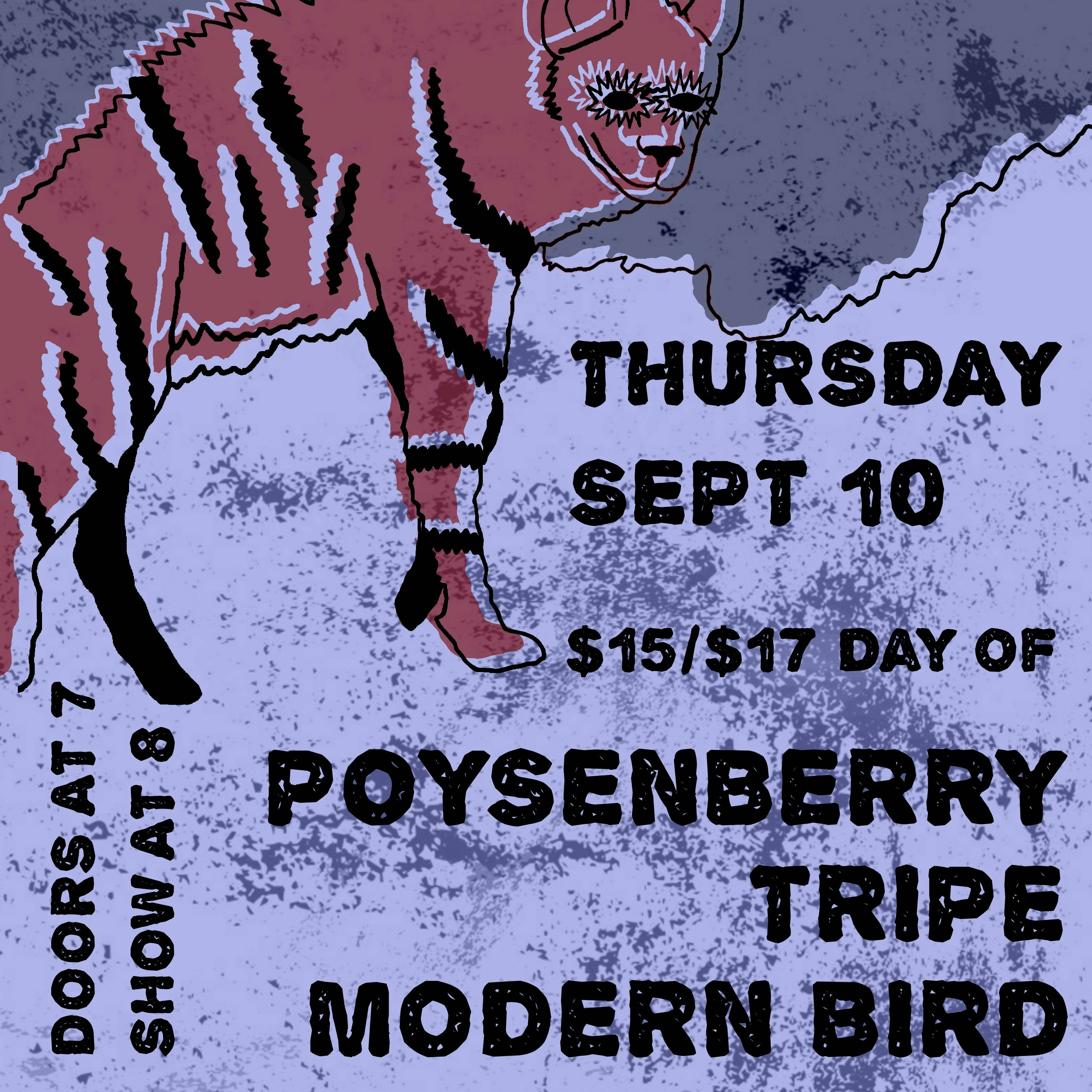 Modern Bird, Tripe, Poysenberry