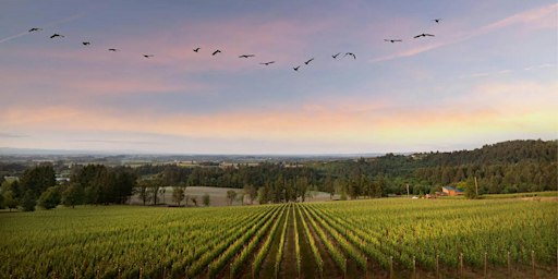 Domaine Roy & Fils