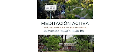Meditación Activa (Voluntariar en la Huerta de Plaza Irlanda)