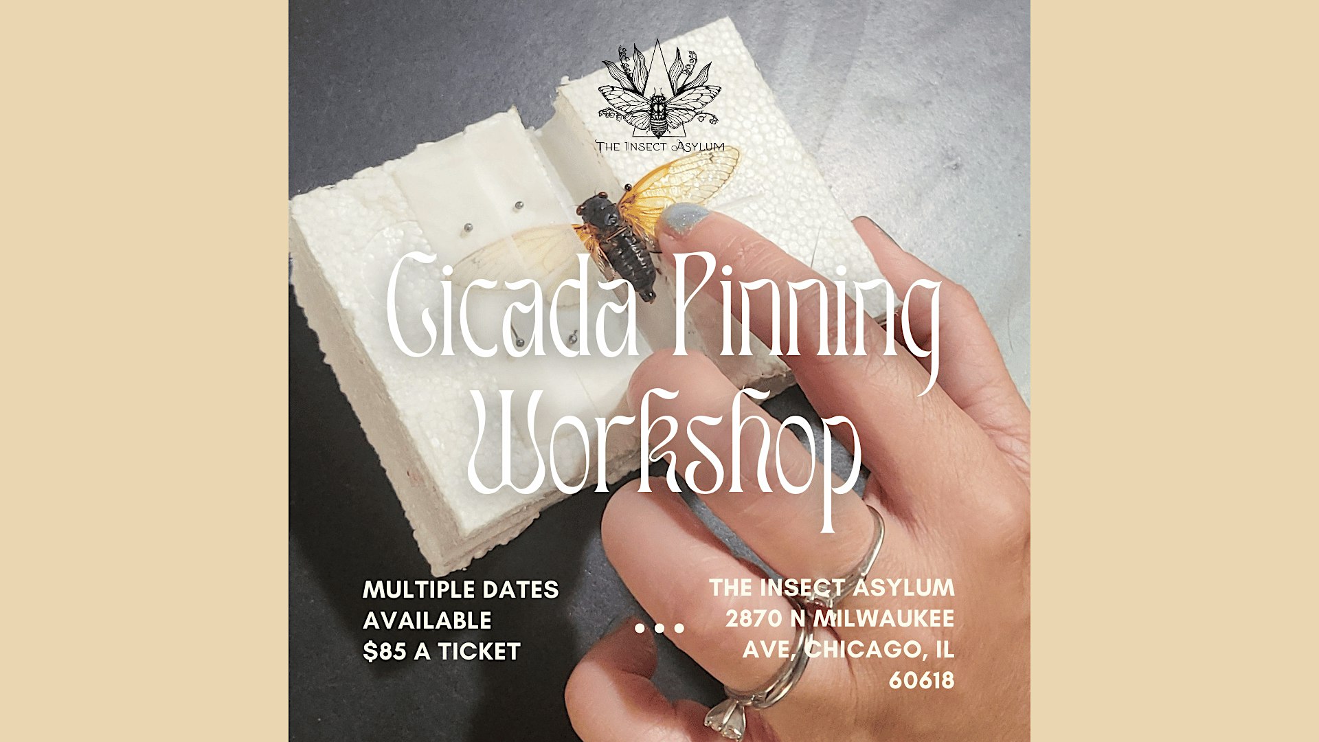 Cicada Pinning Workshops