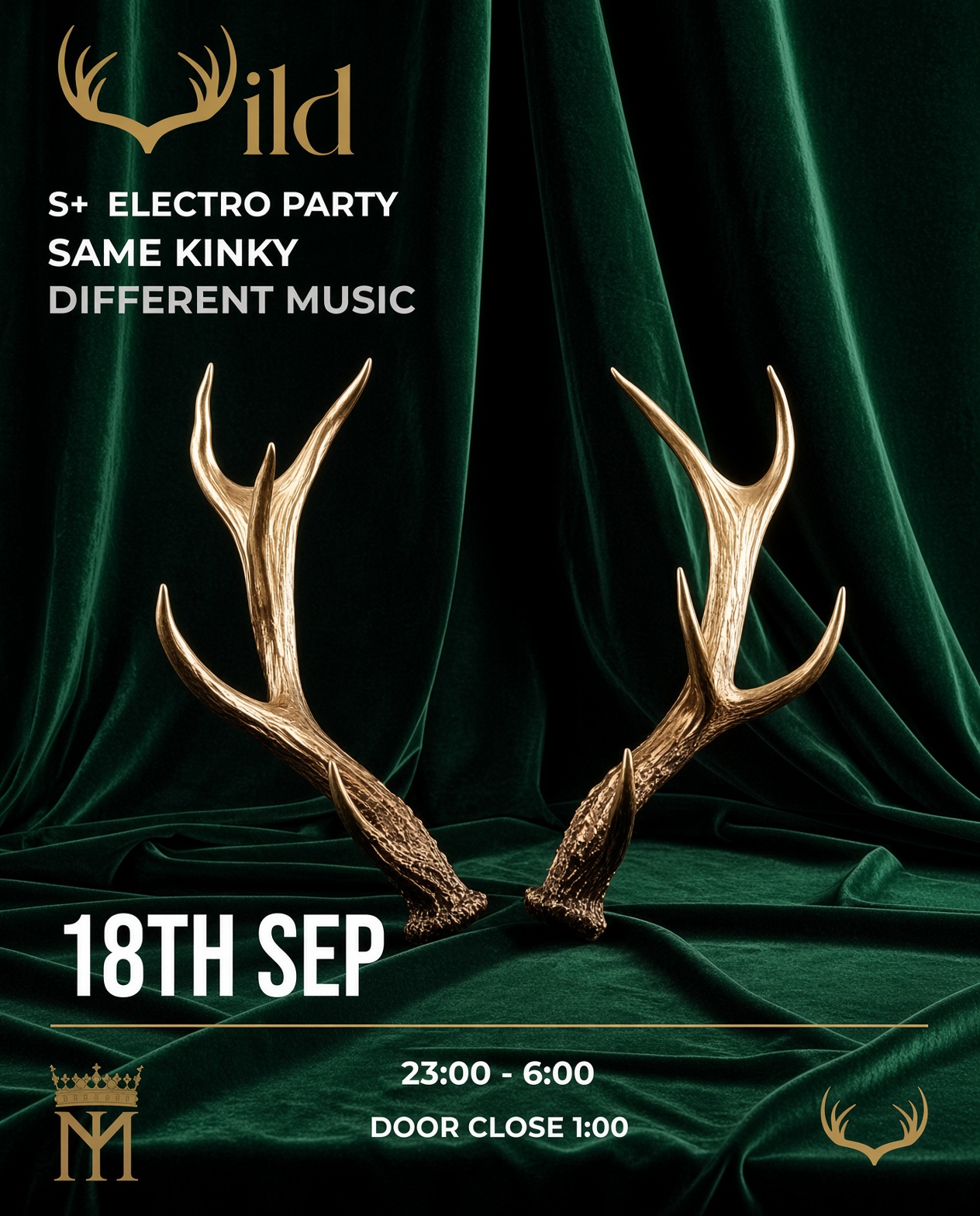 Wild - Electro kinky party