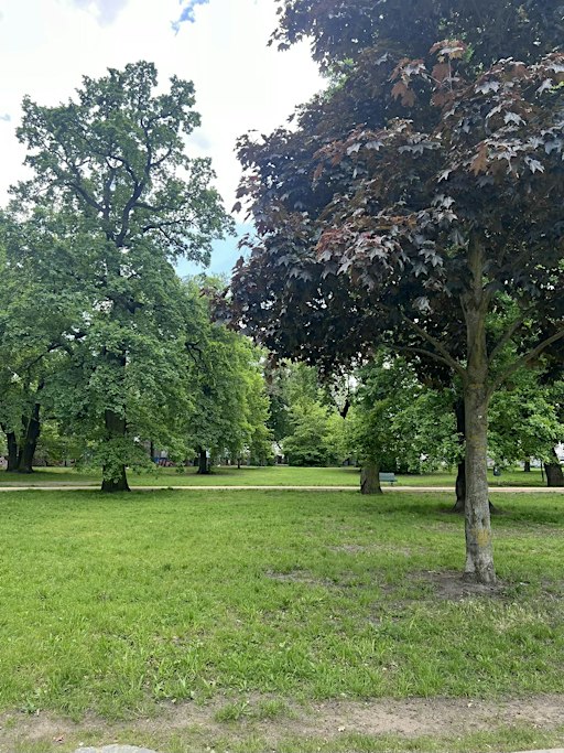 Earth Flow | Vinyasa at Schlesischer Busch