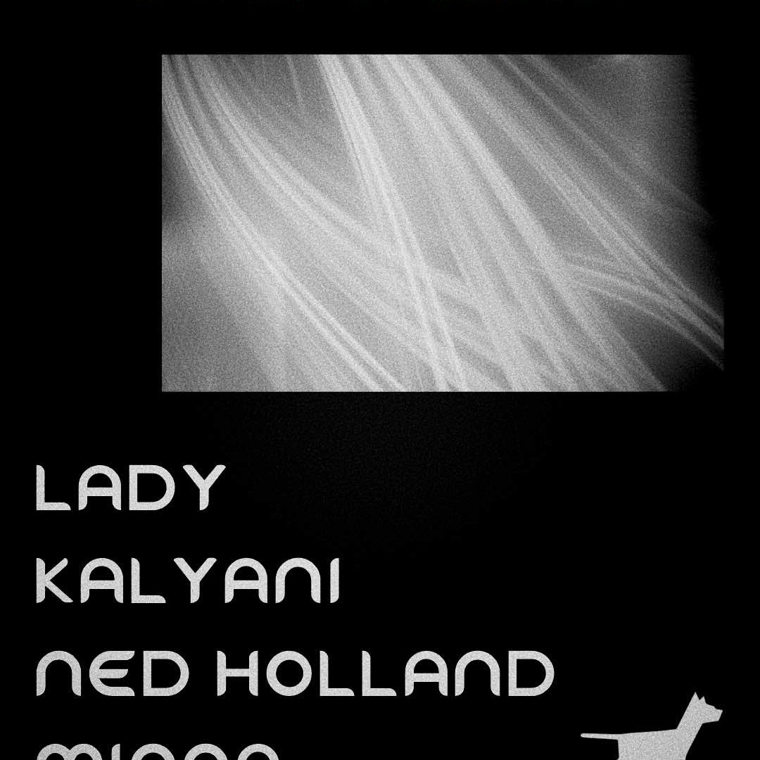 Lady, Kalyani, Ned Holland, Minna