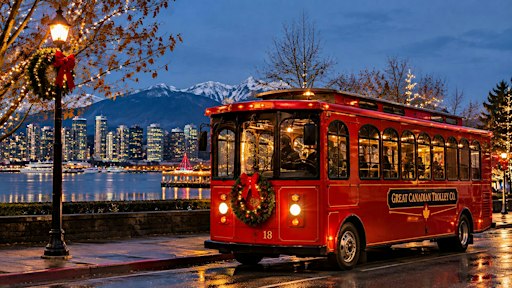 Christmas Lights & Karaoke Trolley Tour