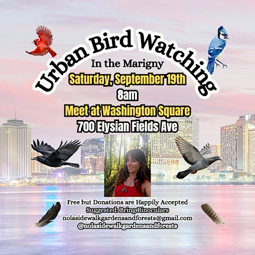 Urban Bird Watching in the Marigny-9/19