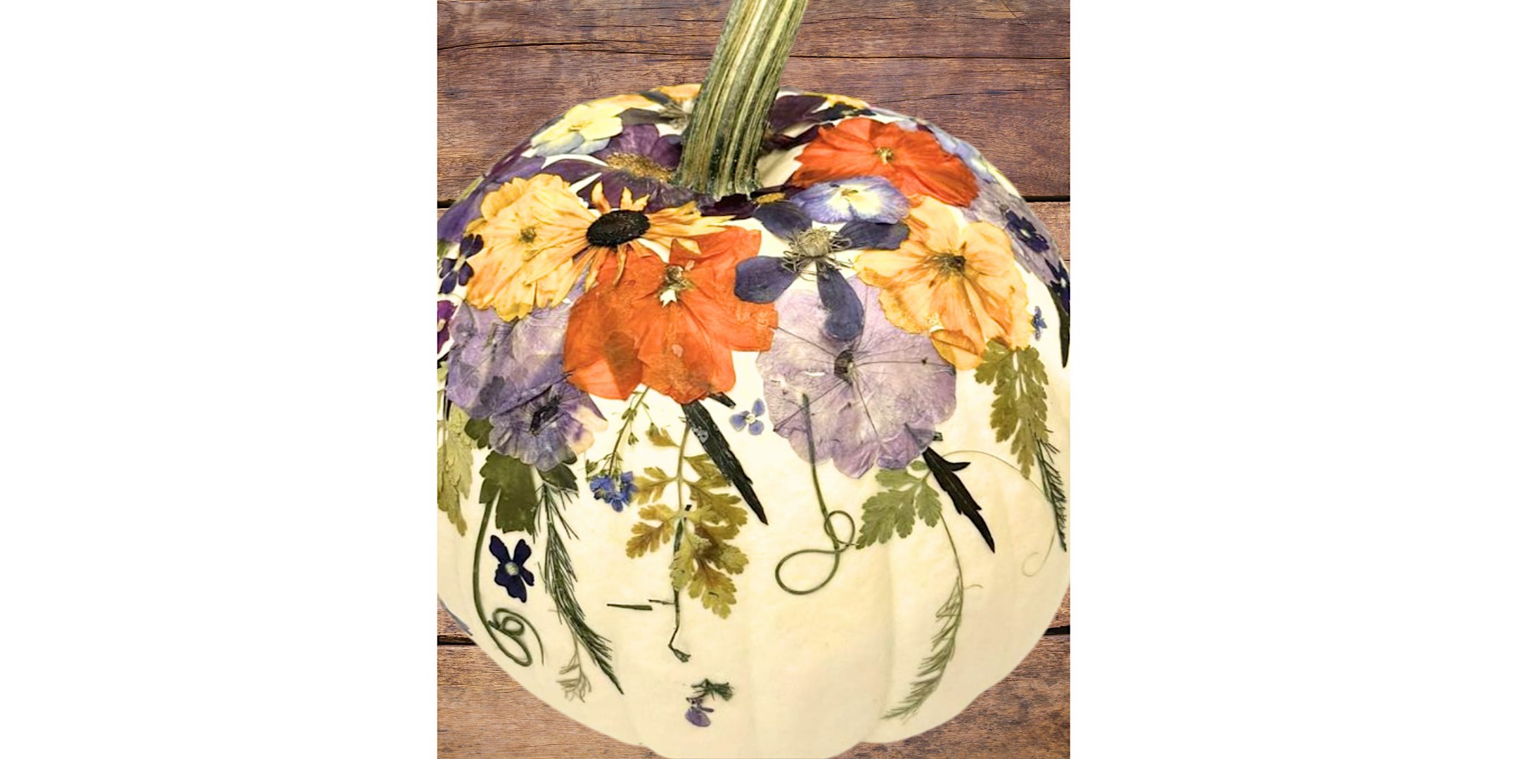 Suite Restaurant & Lounge, Bellevue- Pressed Floral Pumpkin