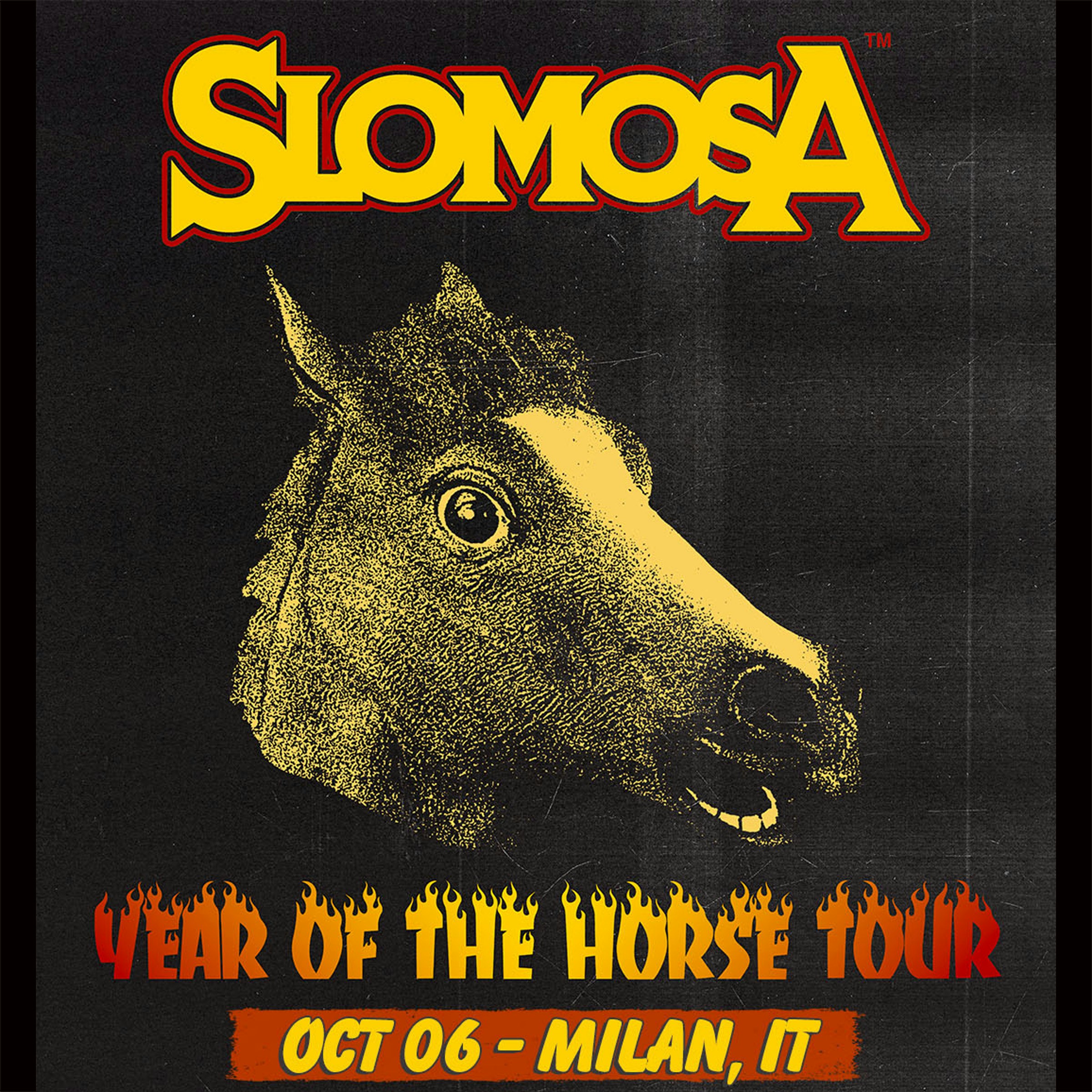 Slomosa