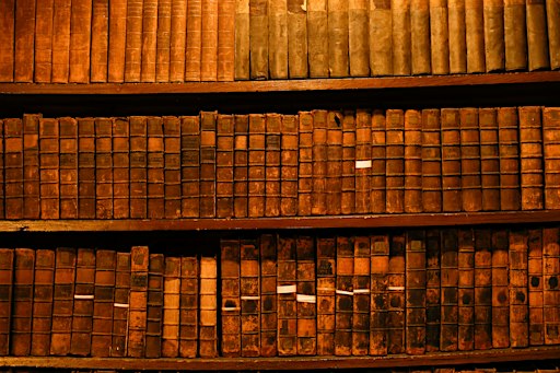 Describing historical bookbindings as physical artefacts (1 Day Workshop)