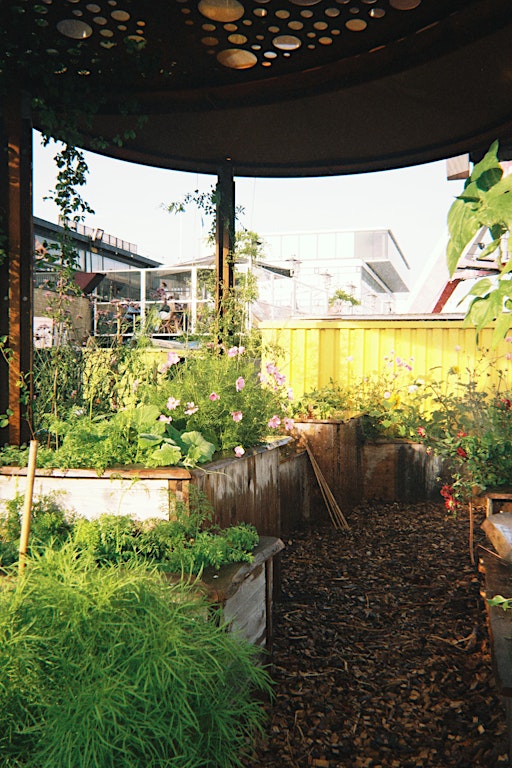 Oogstdiner Plant&Plate x Gore Tengels x de Tafeldekkerij