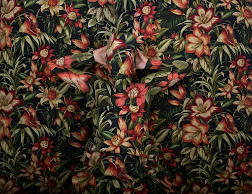 Le Regard de mes Rêves - Expo photo de Cecilia Paredes