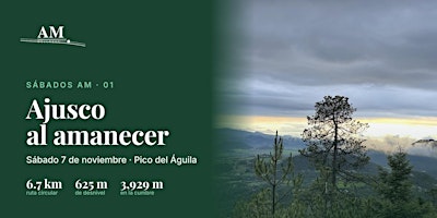Ajusco al amanecer: senderismo al Pico del Águila + sound healing
